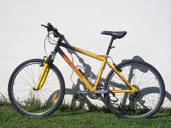 old-bike600 The old bike - an Australian Hedgehog ladies mountain bike