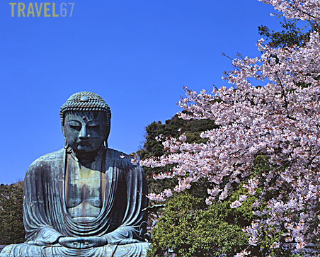 Daibutsu of Kamakura