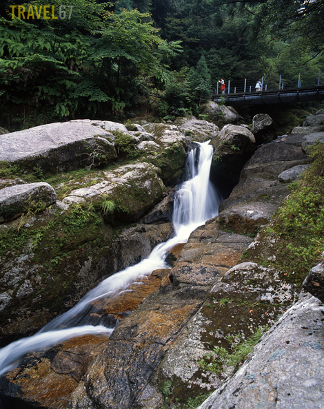 67Yakushima3 blog Small waterfall at Shiratani Unuikyo natural recreation forest, Yakushima
