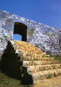 Open Air photography C blog