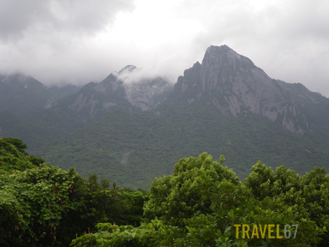 Yakushima Hiking