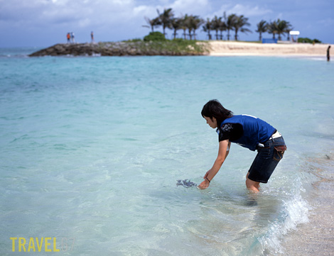 but staff are on hand to guide them in the right direction.