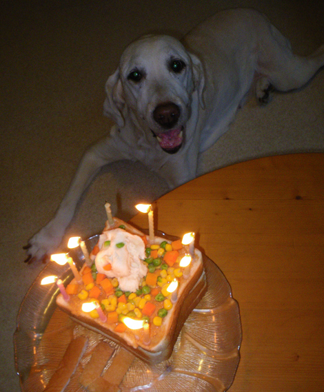 Pus 14th Birthday Pu's 14th Birthday