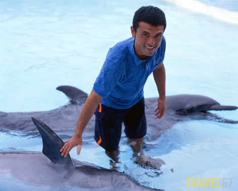 Dolphin trainer Ryo Nakasone at Okinawa Expo Park