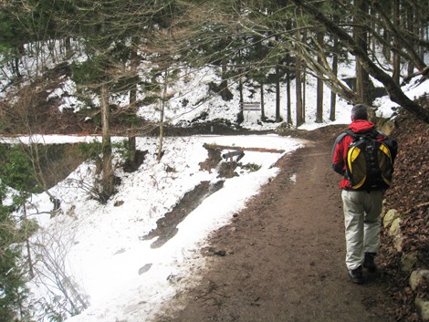Hiking up the trail to Jigokudani Onsen (photo by Steve)