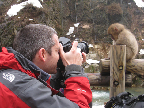 Up close with the snow monkeys at Jigokudani Onsen
