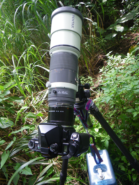 Pentax 67 400mm Pentax 67 400 EDIF with 2X rear converter