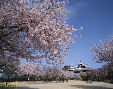 67EhimeMatsuyama22 blog Matsuyama Castle, Ehime