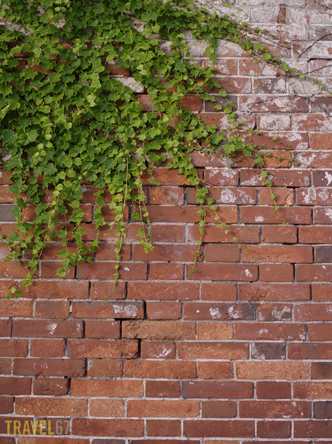 Brick wall in a sea of concrete