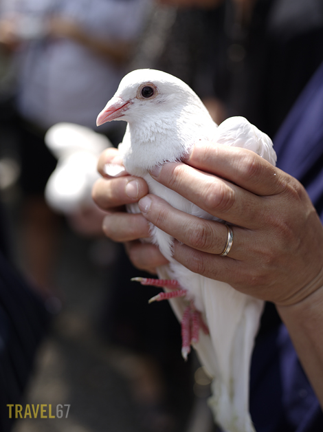 August 15th 2010, Yasakuni Shrine (7)