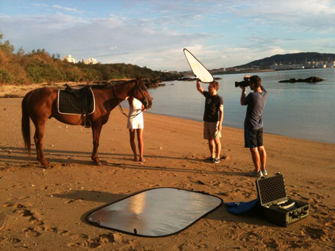 Lastolite TriGrip Diffuser