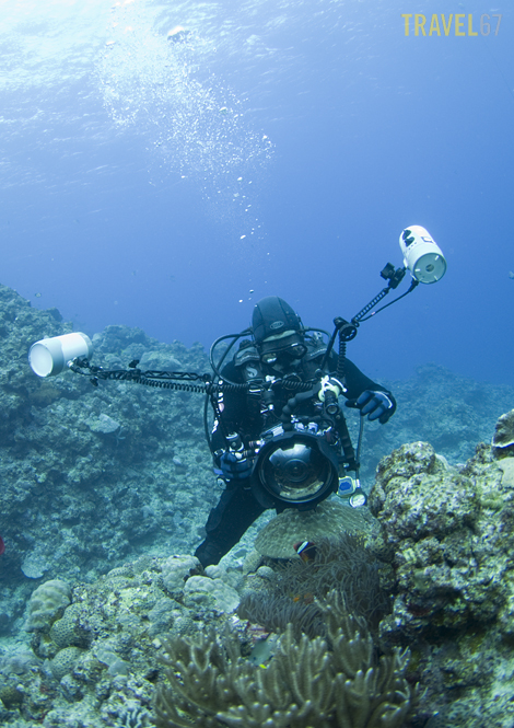 _1K50447a web 470 Shawn Miller - Finding Nemo