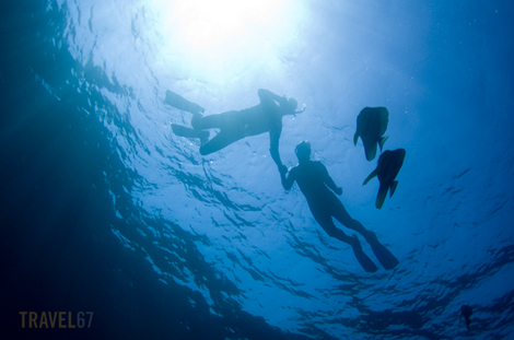 _1K51026 web 470 The view from below ( K5 with Ikelite housing )