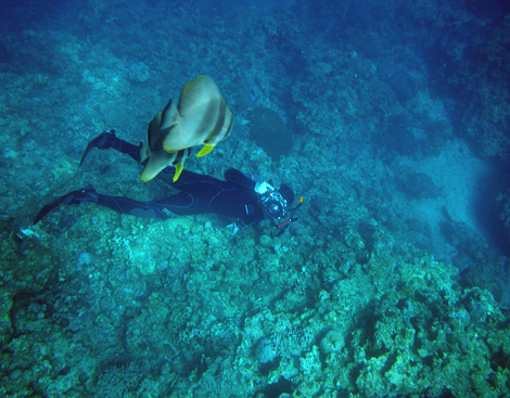 IMGP5463 web 470 The view from above - ( Pentax W60 )