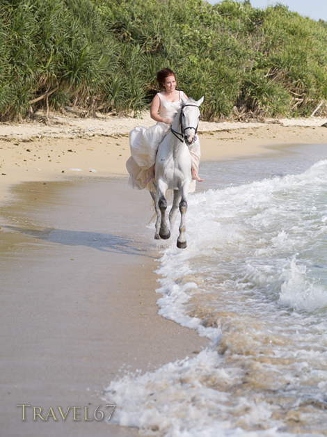Mihara Horse Club of Okinawa