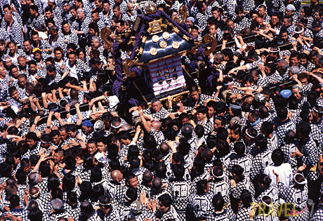 67tokyo131 Sanja Matsuri