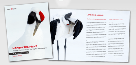 Martin Bailey Making the Print e-book Martin Bailey Making the Print e-book