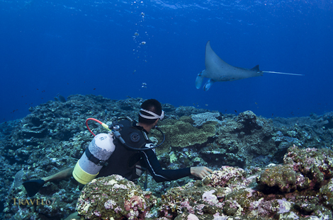 Tanaka-san @ Manta Scramble, Ishigaki Island, Okinawa