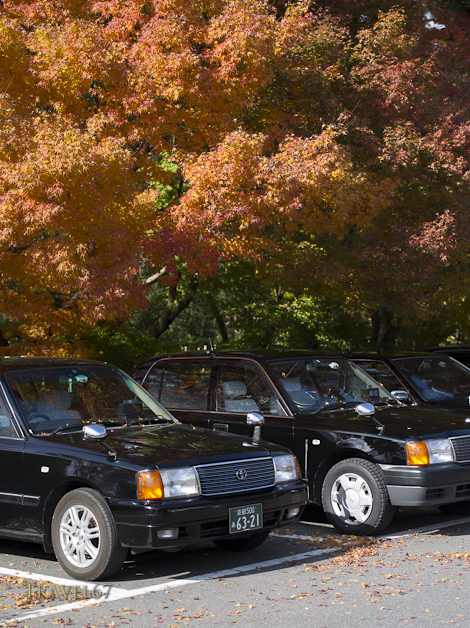 Kyoto in the Fall