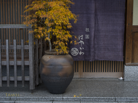 Kyoto in the Fall