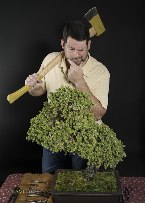 Keith takes up bonsai