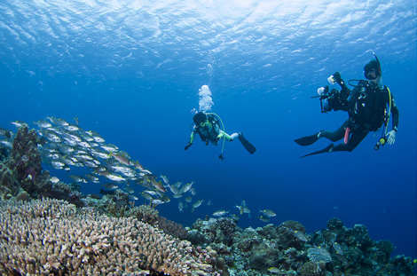 Diving off Kume Island, Okinawa