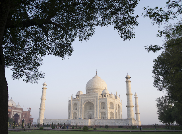 Taj Mahal at Dawn