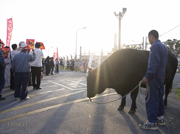 No Osprey Demonstration outside Torii Army Base, Okinawa Japan 2 May 2013