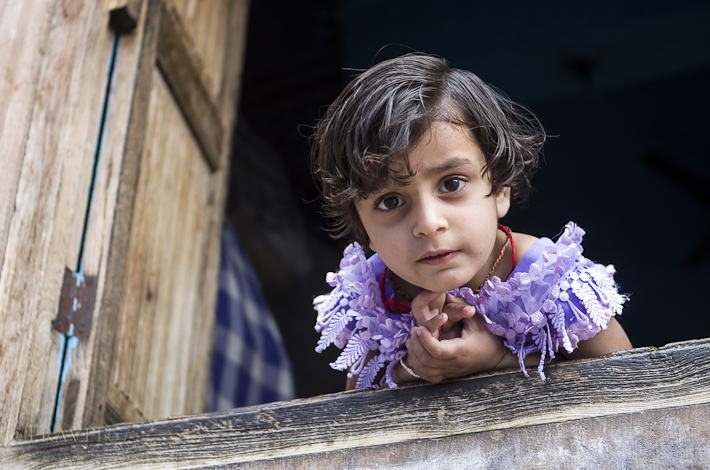 Indian Girl - Jodhpur, Rajashtan