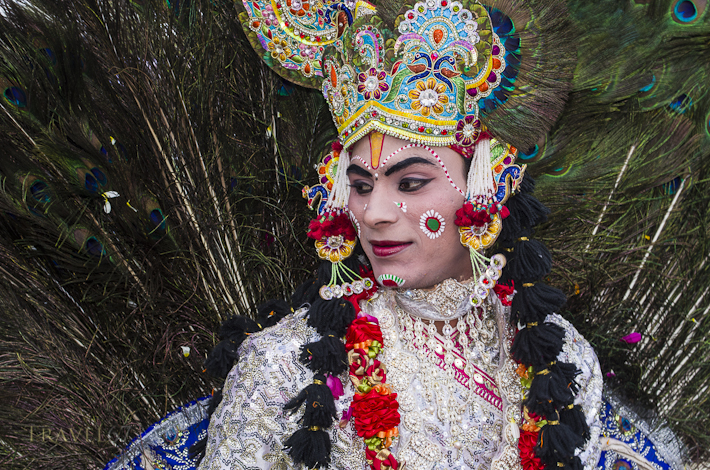 "Elephant Festival" - Jaipur, Rajasthan, India