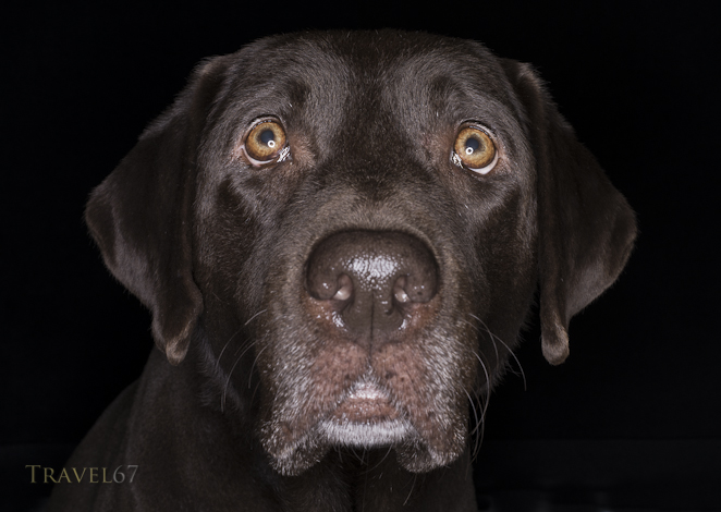 Used Ringflash test - It works!!