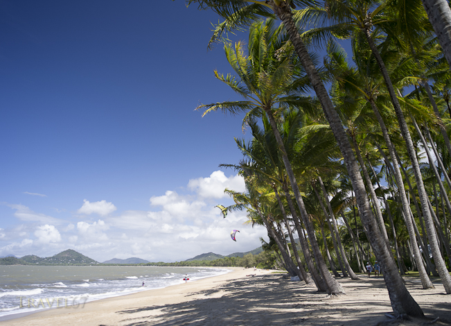 Palm Cove Paradise