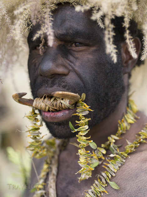 Eyarokawe Singsing Group, Daulo District, Eastern Highlands Province - Goroka Show, Papua New Guinea