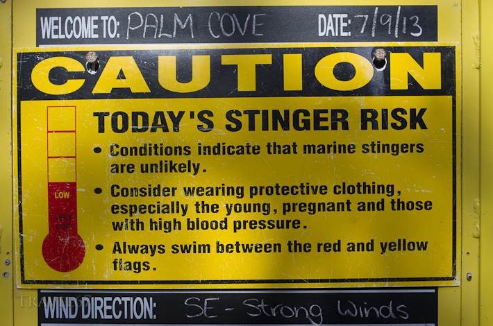Marine Stingers - Palm Cove, Cairns