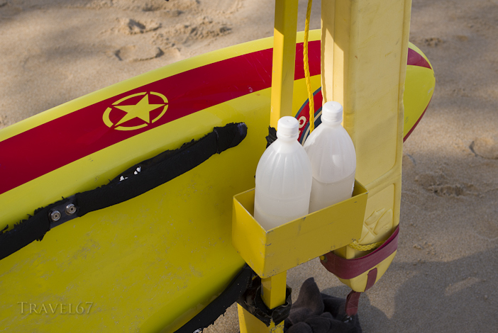 Marine Stingers - Palm Cove, Cairns