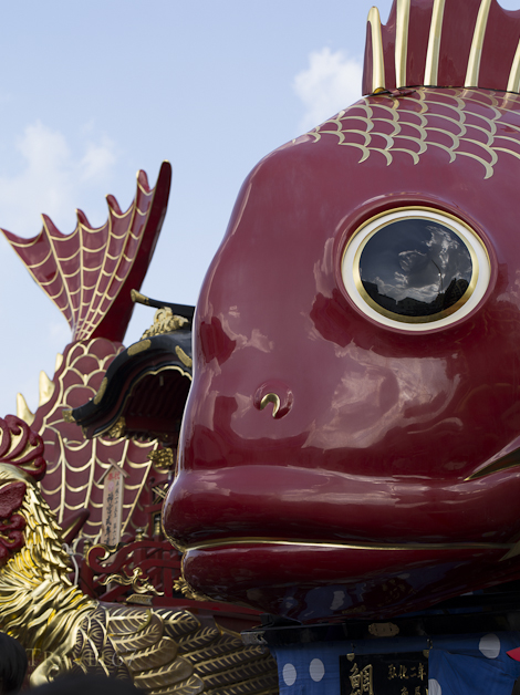 _6455286- se 470 new