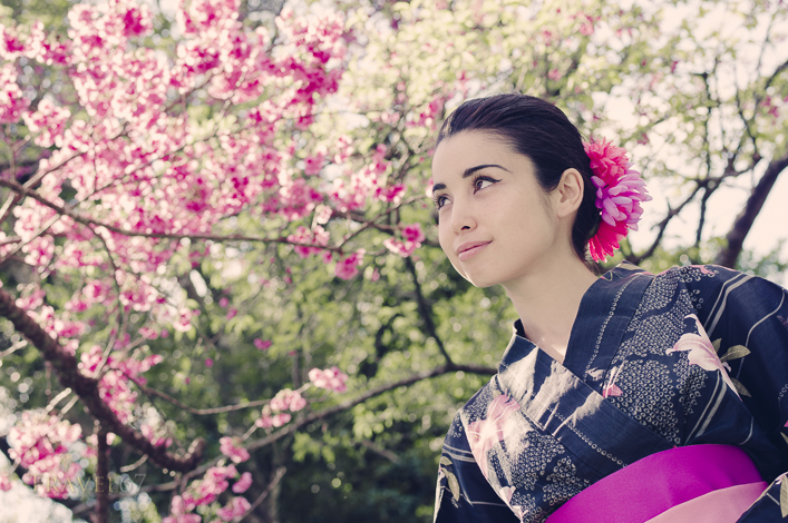Cherry Blossom Viewing, Mt Yaedake, Nago, Okinawa, Japan