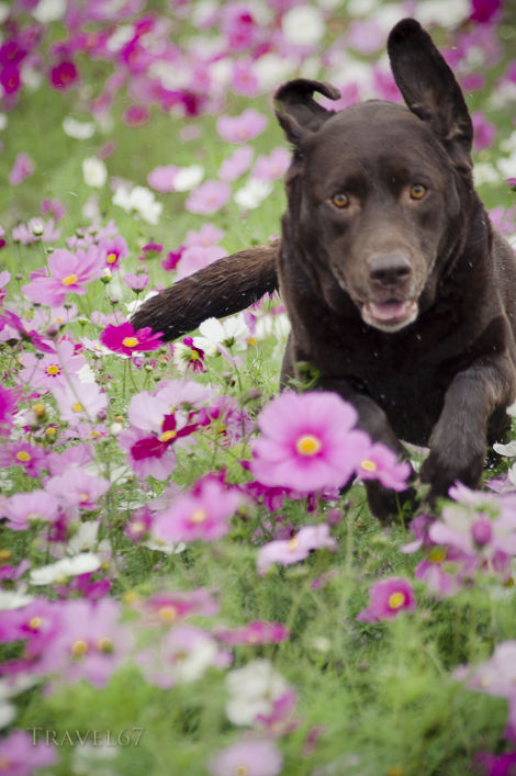 Can't focus fast enough