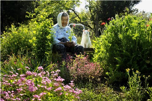 みさおとふくまる