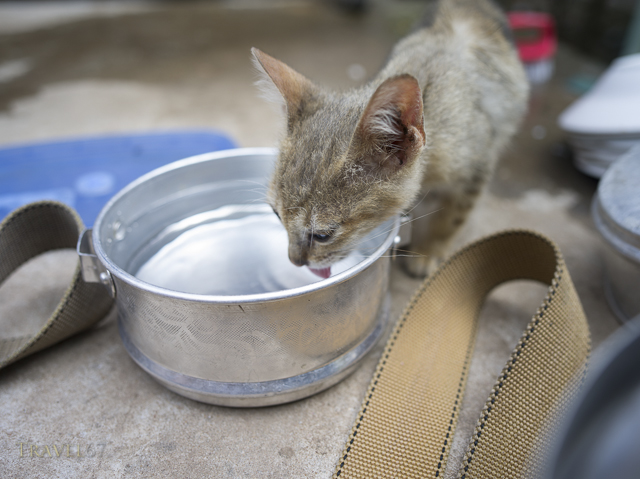Wat Athvea Temple, Siem Reap, Cambodia