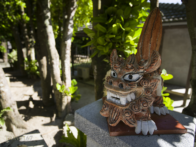 Shisa in dappled shade