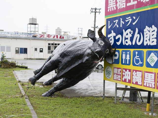 Typhoon Neoguri - Cow Tipping