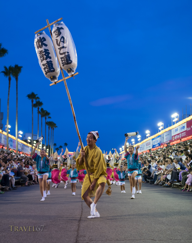 Awa Odori ( Awa Dance Festival ) 