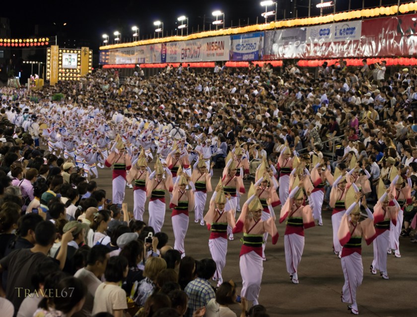 Awa Odori ( Awa Dance Festival ) 