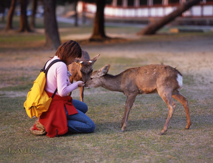 Nara, Japan