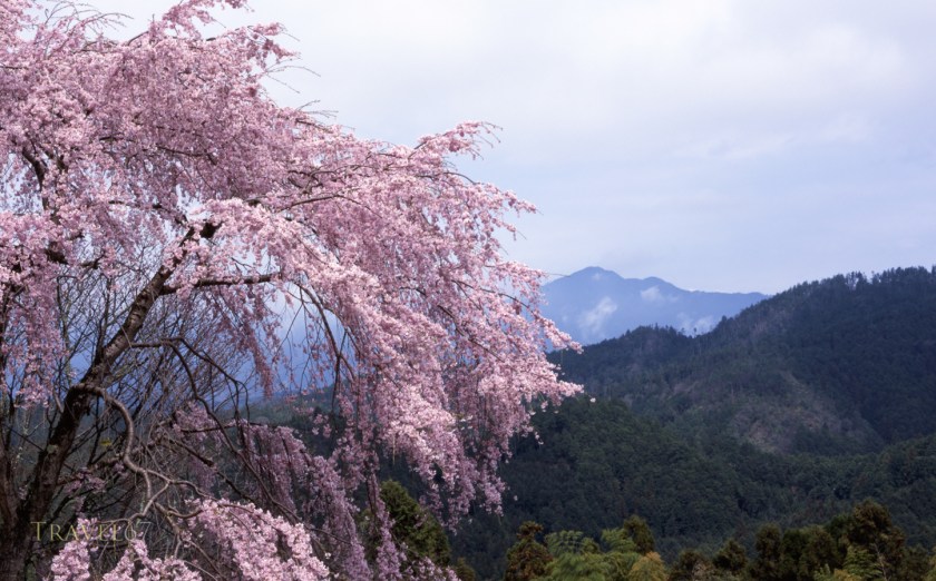 Yoshino, Nara, Japan