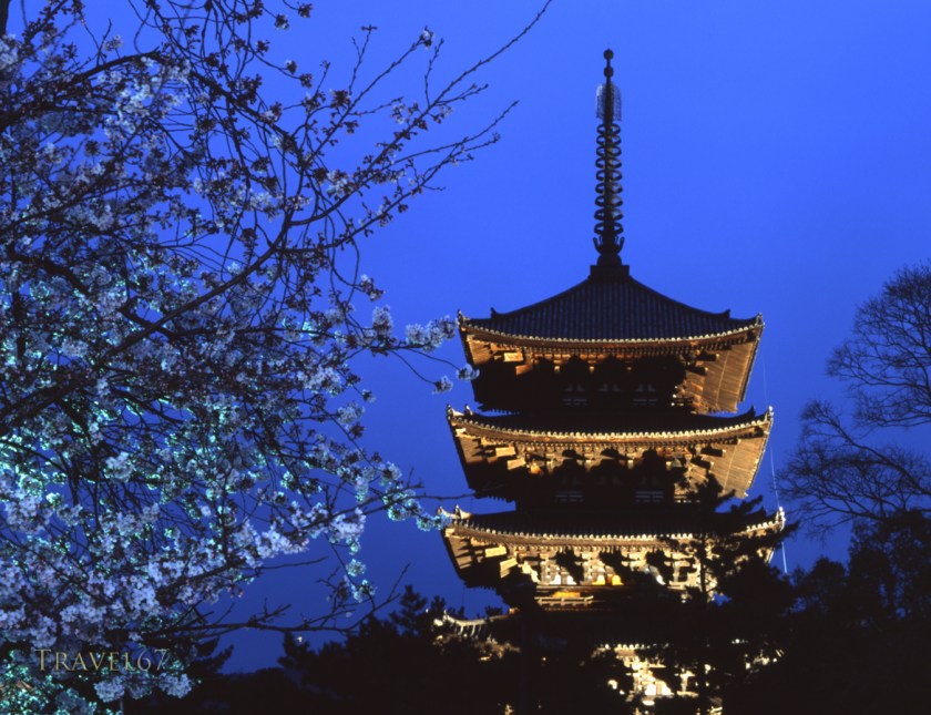 Kofuku-ji Pagoda, Nara, Japan