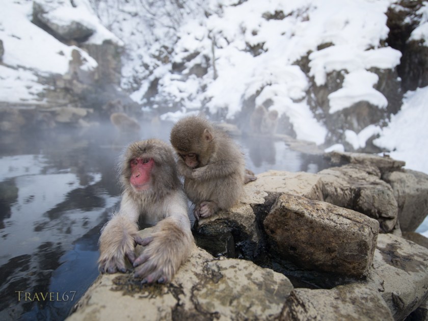 Ask an adult for permission to enter the pool