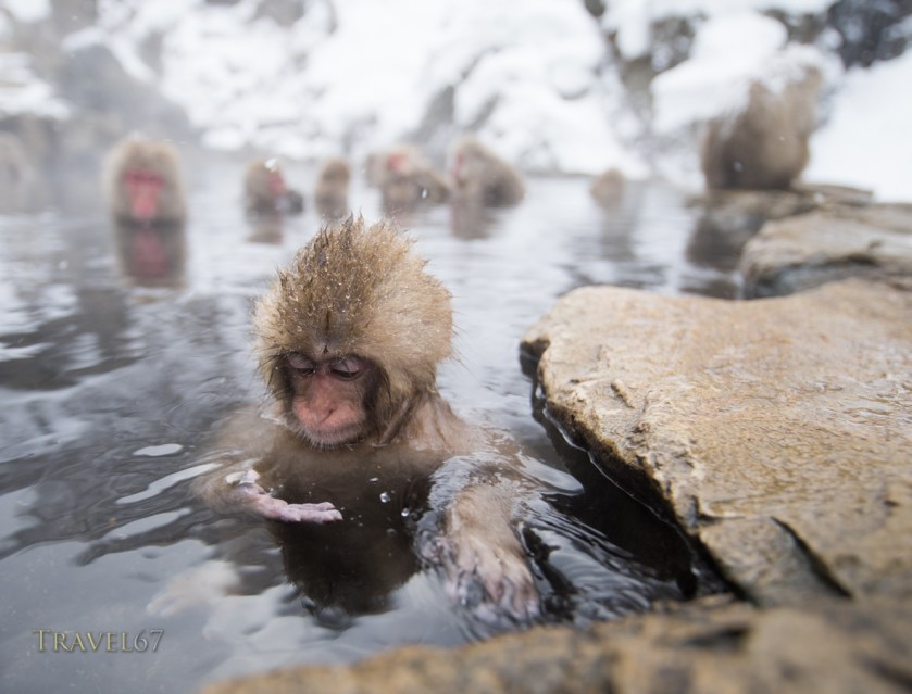 But do regular checks that you're not getting wrinkly fingers